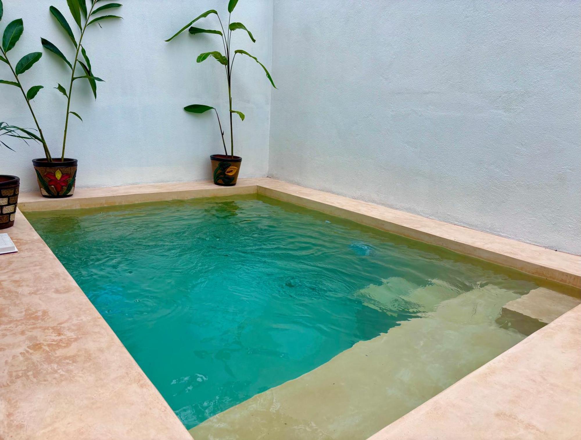 Excelente Alberca Privada En Residencial Privado, Gym, Asador Villa Ciudad Valles Bagian luar foto