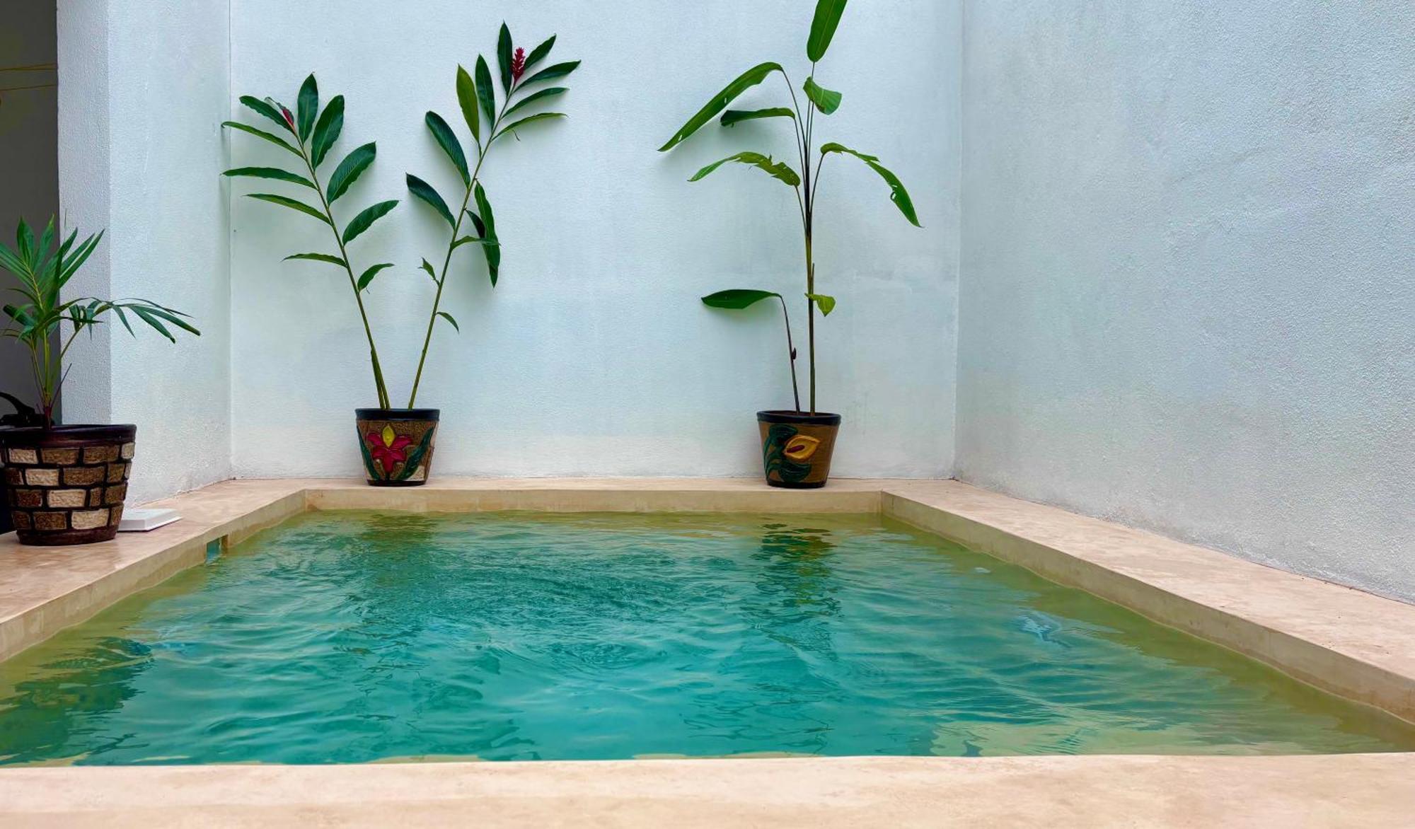 Excelente Alberca Privada En Residencial Privado, Gym, Asador Villa Ciudad Valles Bagian luar foto