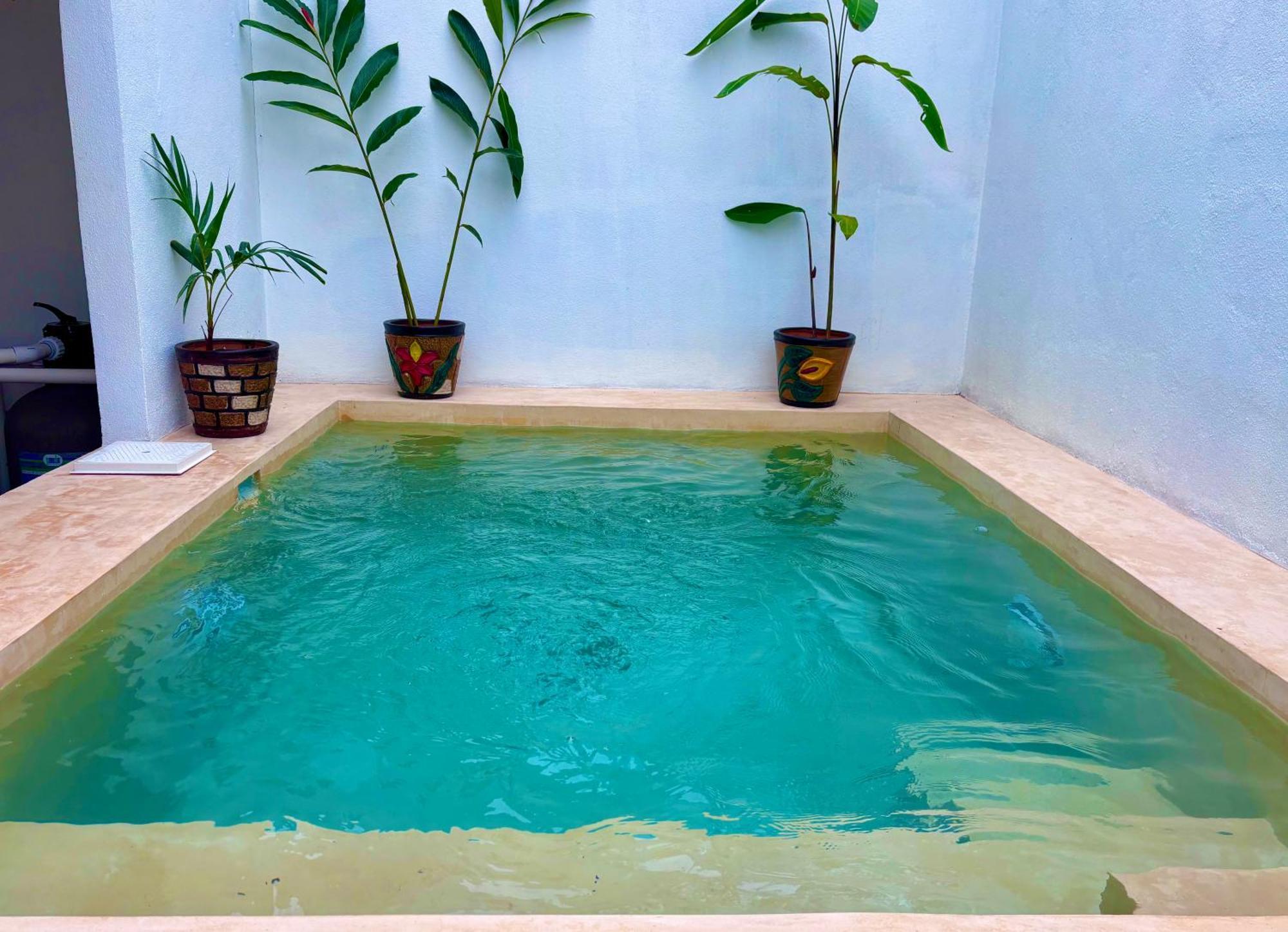 Excelente Alberca Privada En Residencial Privado, Gym, Asador Villa Ciudad Valles Bagian luar foto