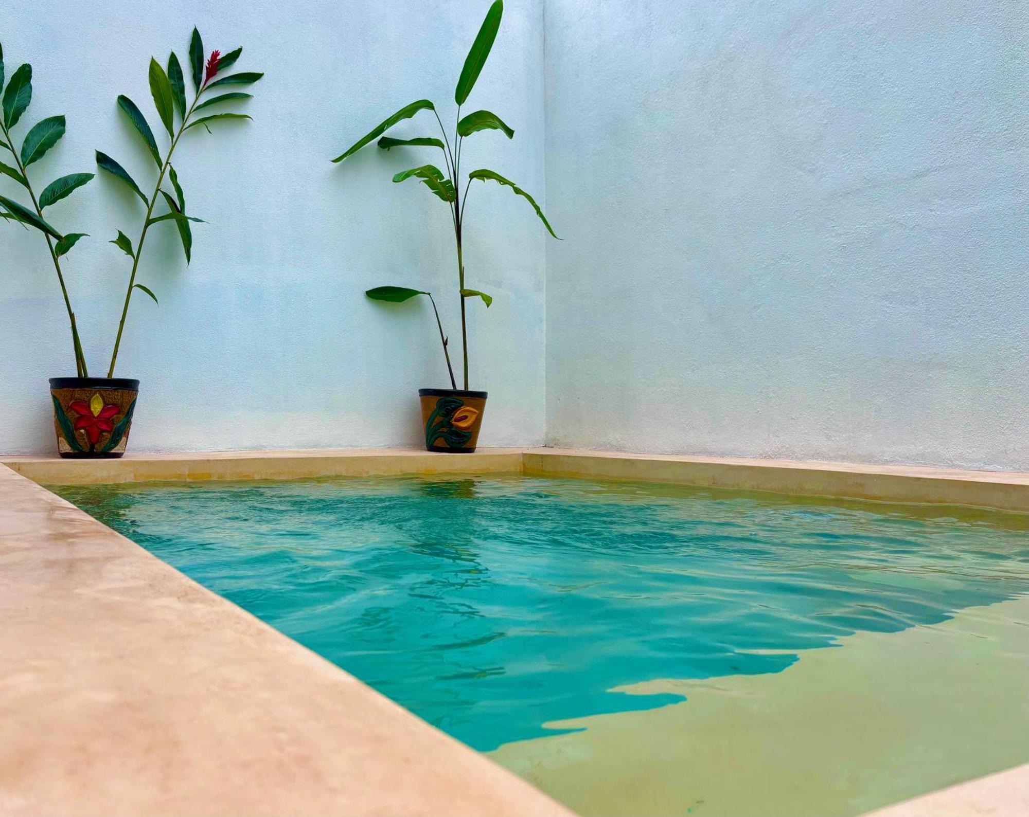 Excelente Alberca Privada En Residencial Privado, Gym, Asador Villa Ciudad Valles Bagian luar foto